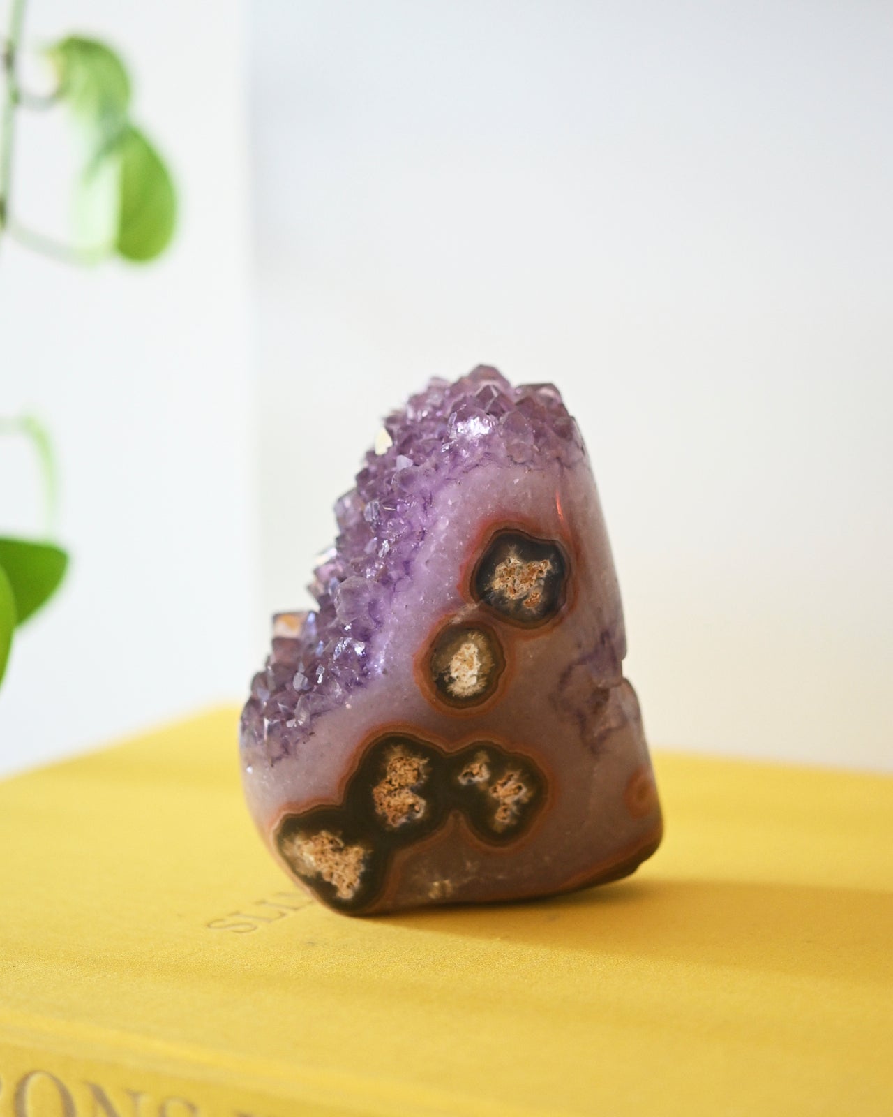 Amethyst Druzy Freeform 4 inch