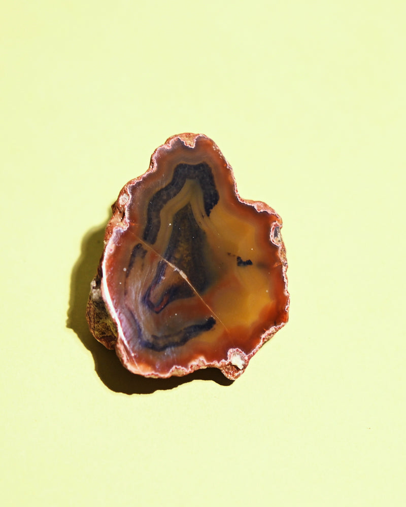 Rare Condor Agate Geode