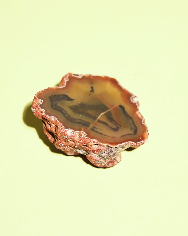Rare Condor Agate Geode