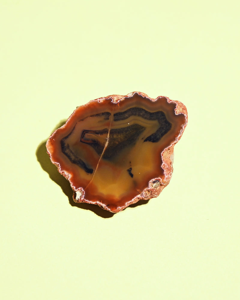 Rare Condor Agate Geode