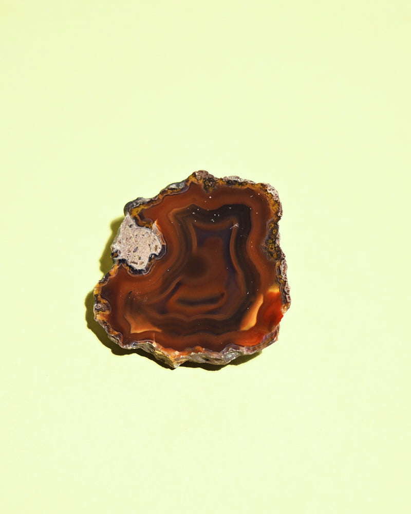 Rare Condor Agate Geode