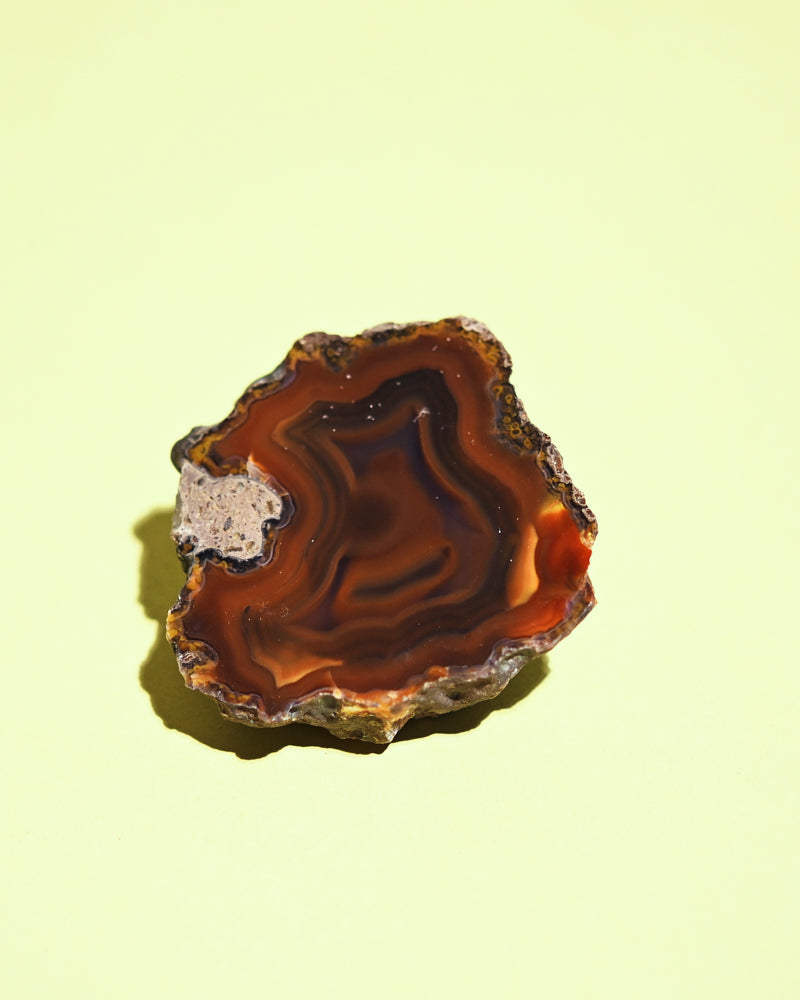 Rare Condor Agate Geode