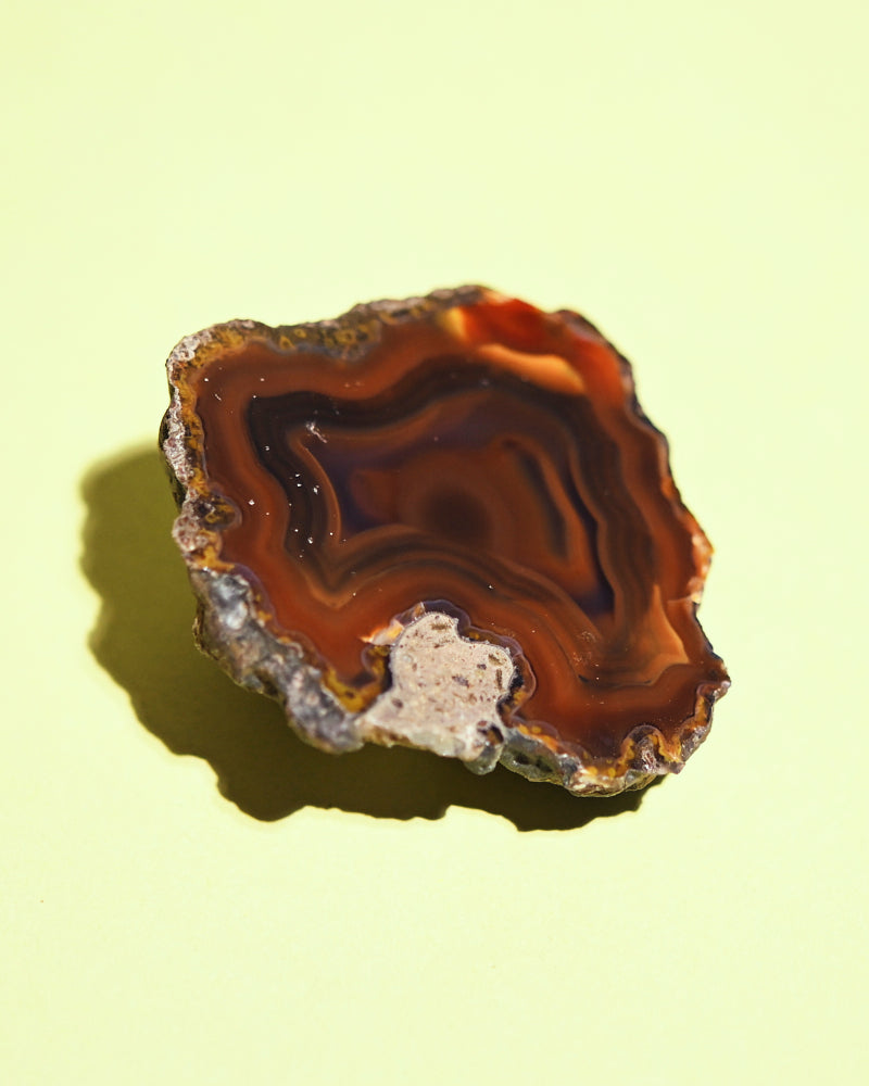 Rare Condor Agate Geode
