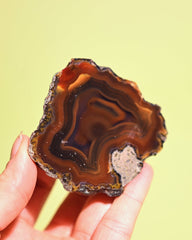 Rare Condor Agate Geode