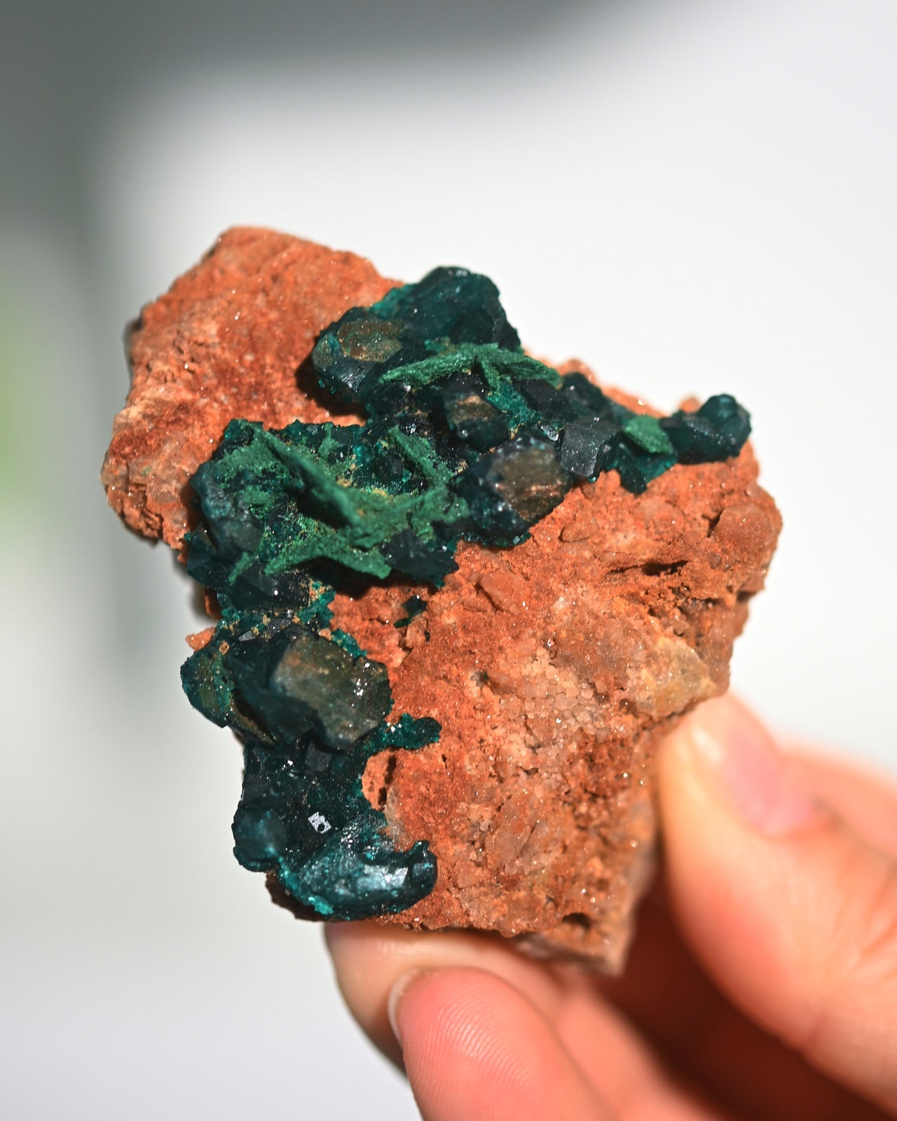 Malachite Dioptase Specimen 3 in