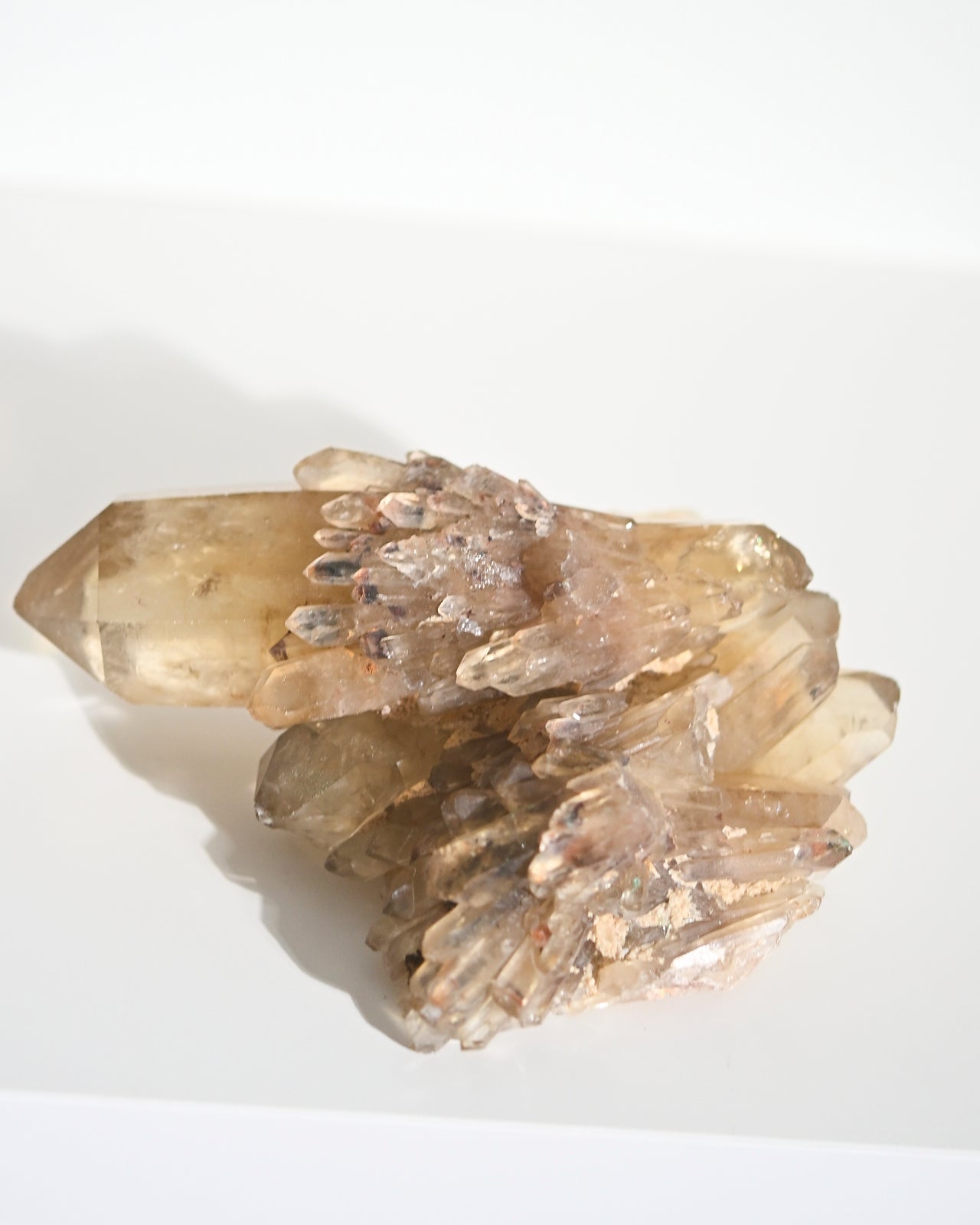 Double Terminated Elestial Citrine Cluster 1.1lbs