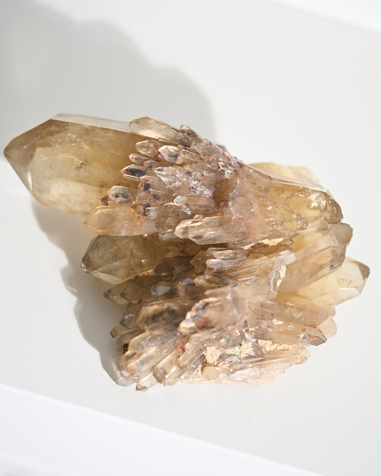 Double Terminated Elestial Citrine Cluster 1.1lbs