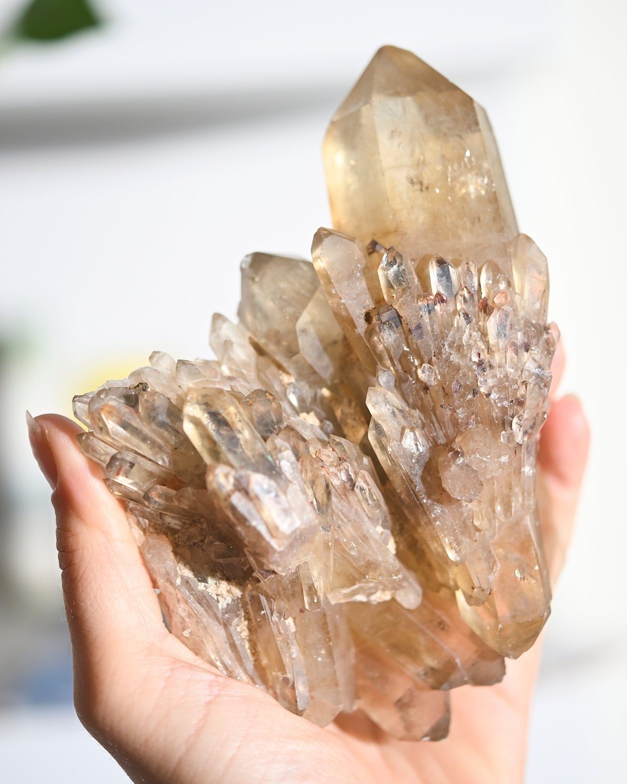 Double Terminated Elestial Citrine Cluster 1.1lbs
