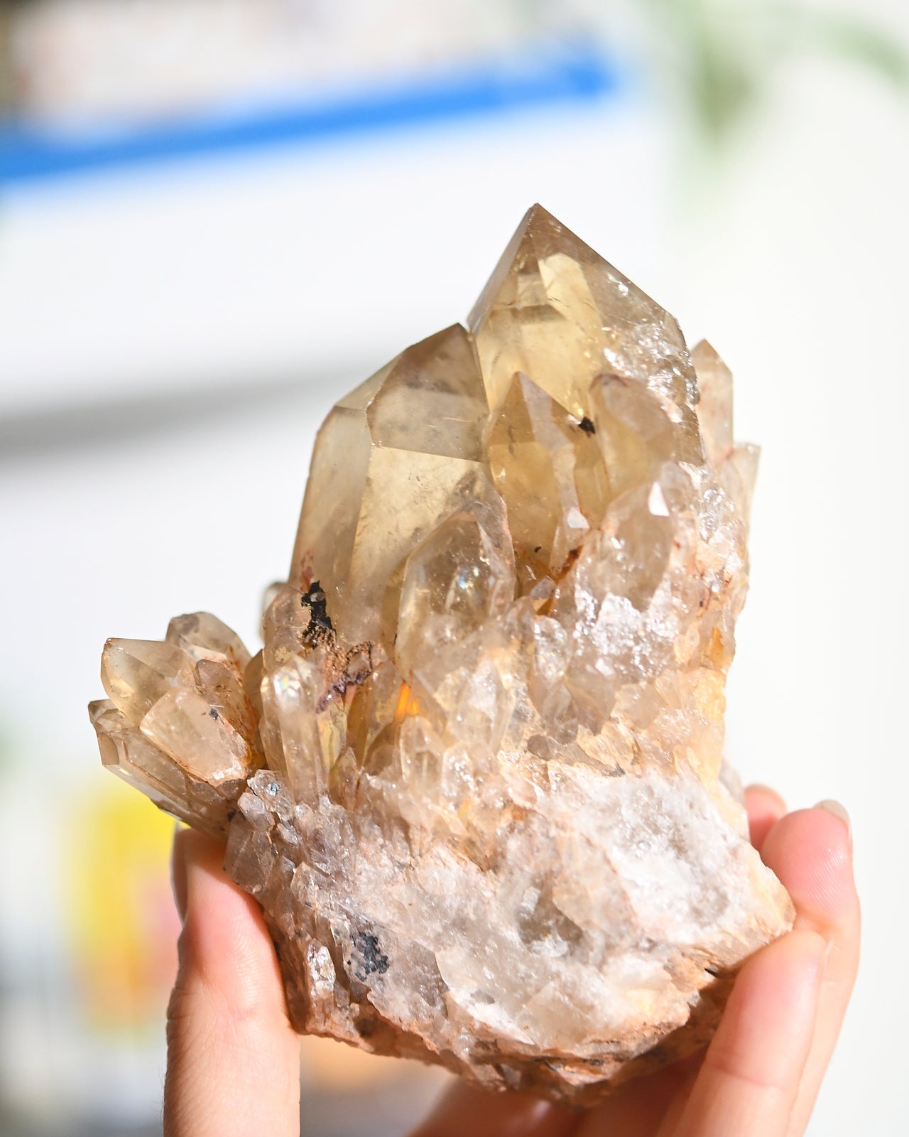 Elestial Citrine Cluster 1.2lb