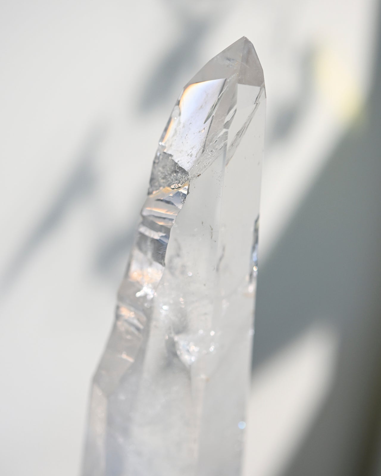 Groovy Lemurian Seed w Stand 14inch