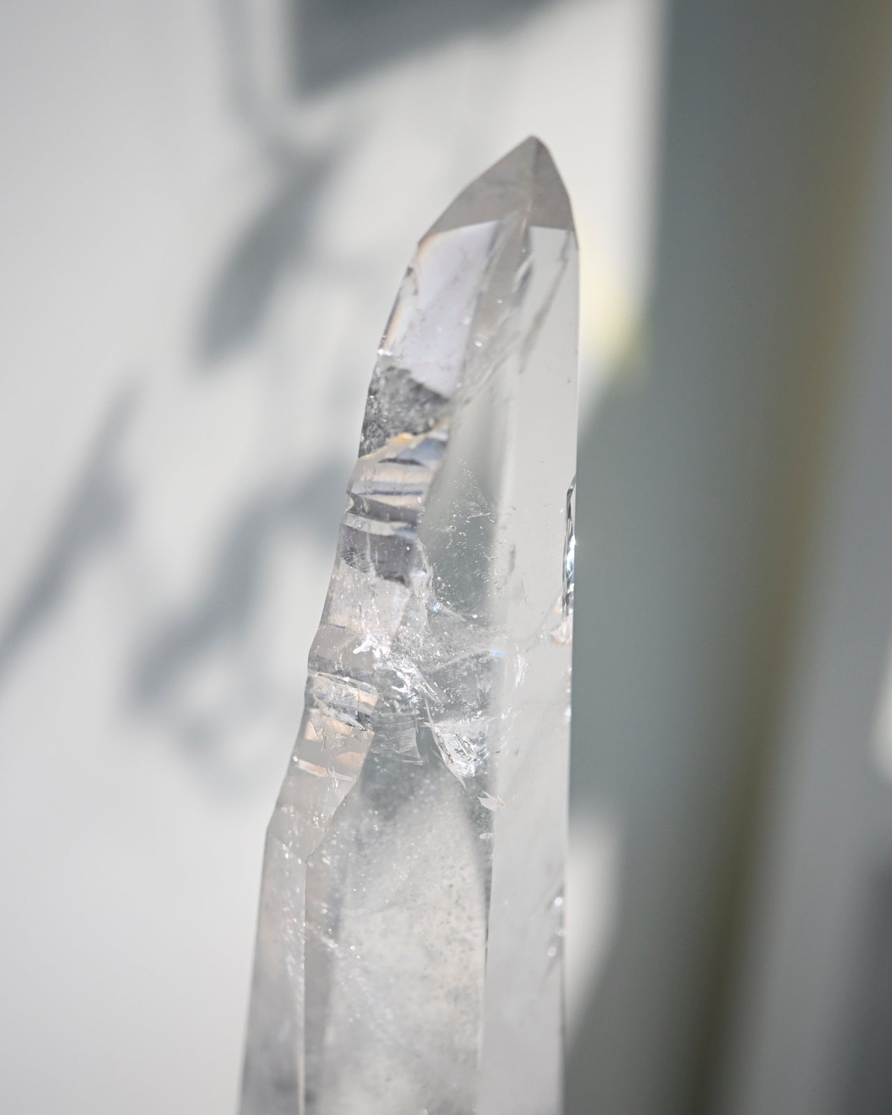Groovy Lemurian Seed w Stand 14inch