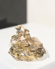 Muscovite Cluster