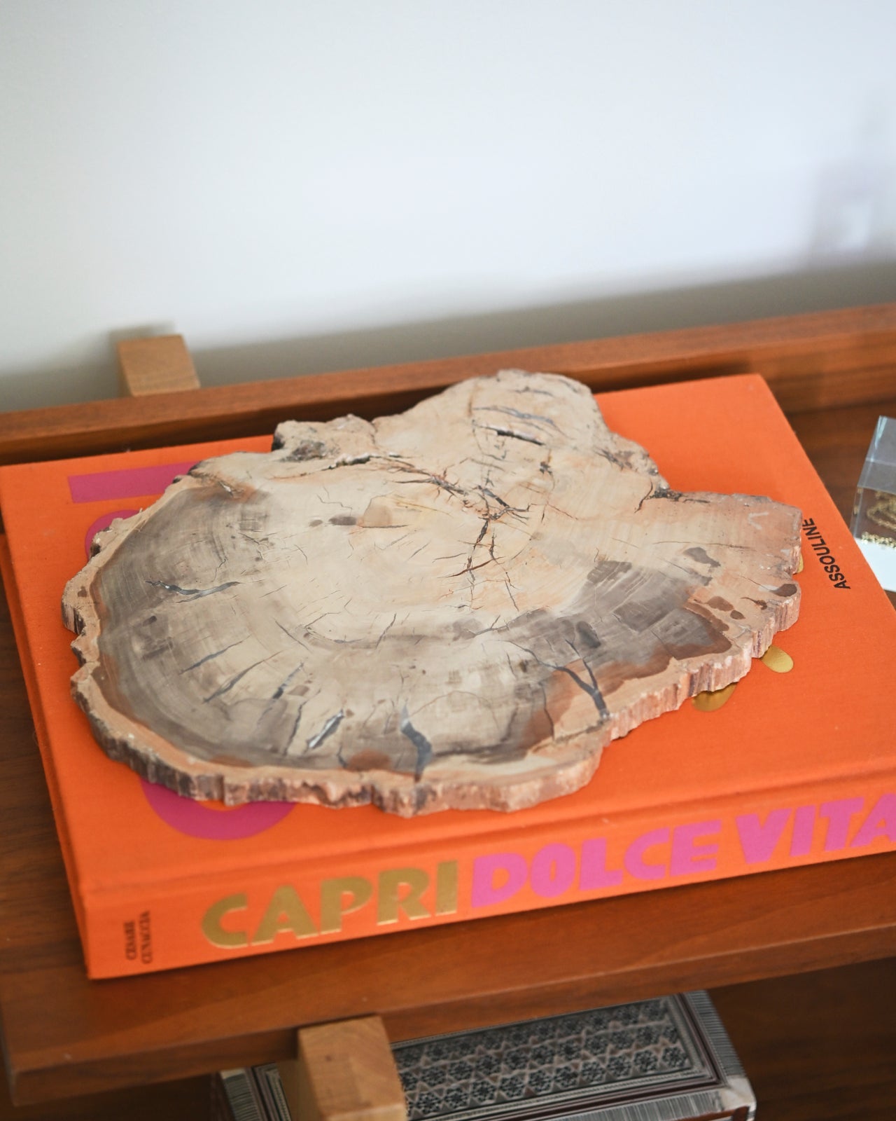Petrified Wood Slab 3.7lbs