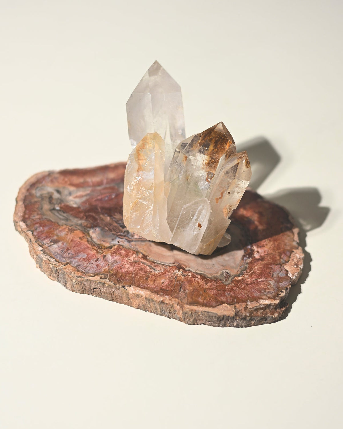Red Petrified Wood Slab 8 inch